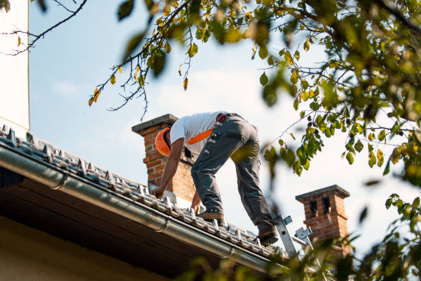 Trusted Coon Rapids, MN Roofing Service Experts