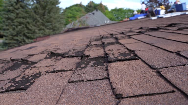  Coon Rapids, MN Roofing Service Pros