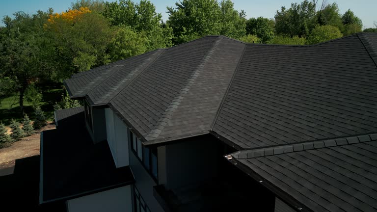 Best Sheet Metal Roofing  in Coon Rapids, MN