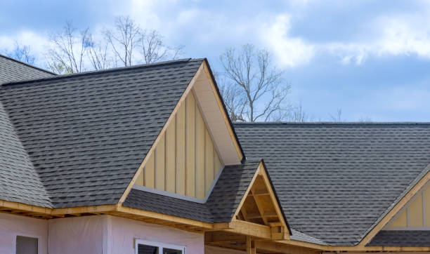 Best Roof Moss and Algae Removal  in Coon Rapids, MN