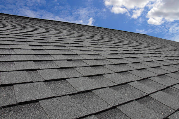 Best Roof Insulation Installation  in Coon Rapids, MN