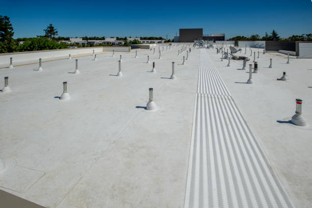 Best Rubber Roofing (EPDM, TPO)  in Coon Rapids, MN